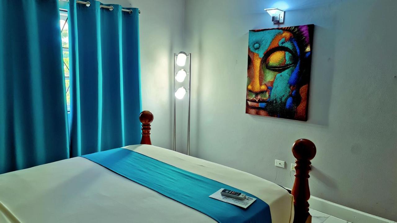 Casa Alexandria Guest Apartment キングストン エクステリア 写真