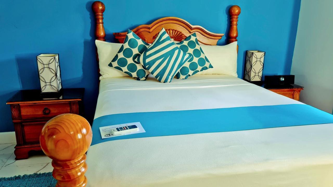 Casa Alexandria Guest Apartment キングストン エクステリア 写真