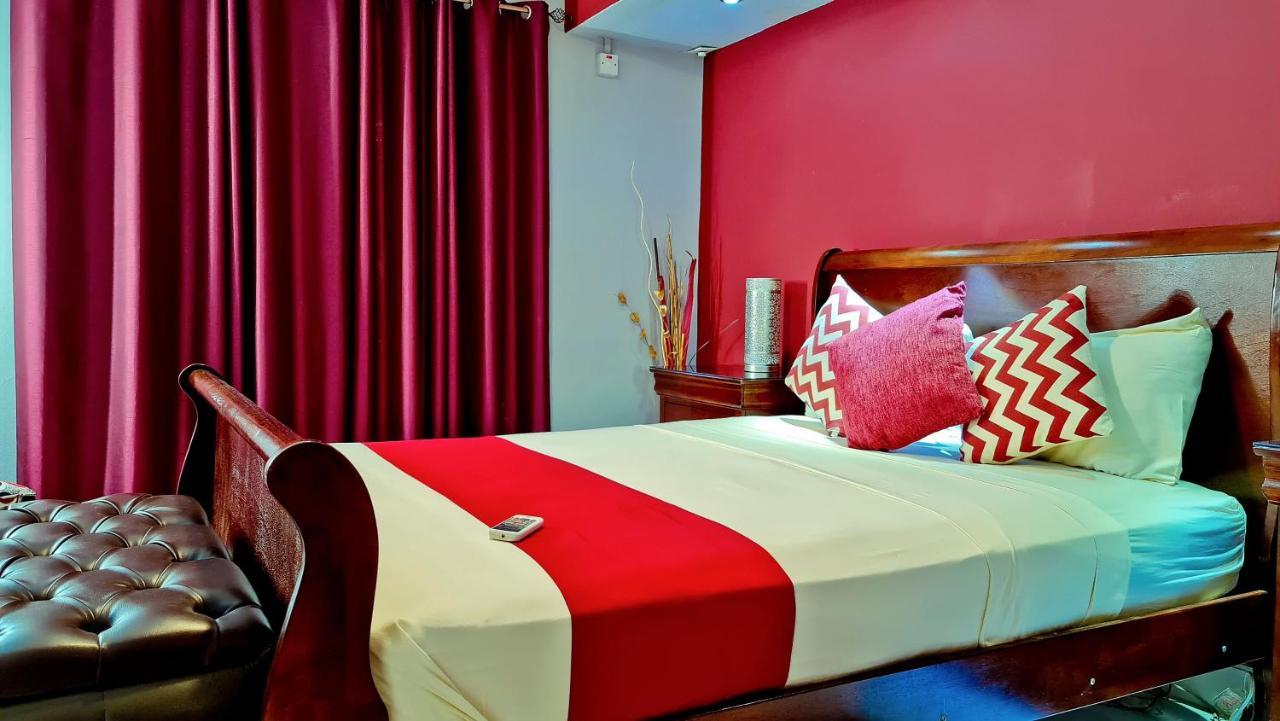 Casa Alexandria Guest Apartment キングストン エクステリア 写真