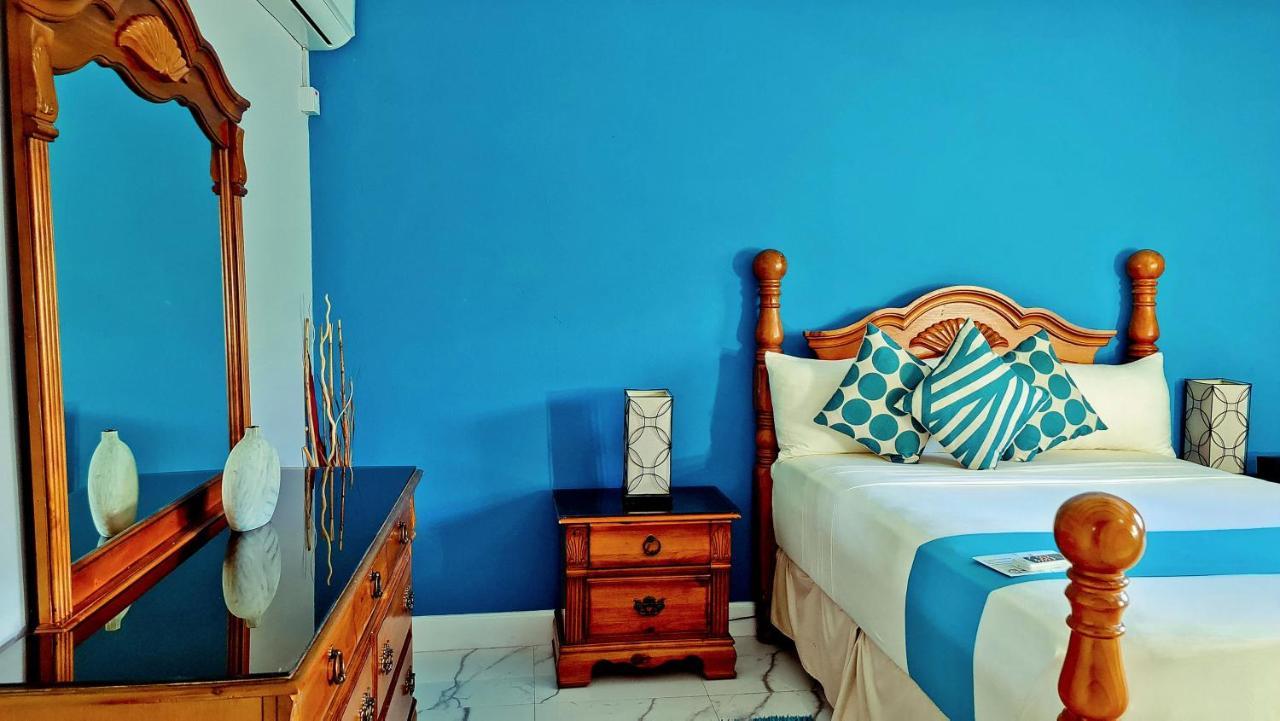 Casa Alexandria Guest Apartment キングストン エクステリア 写真