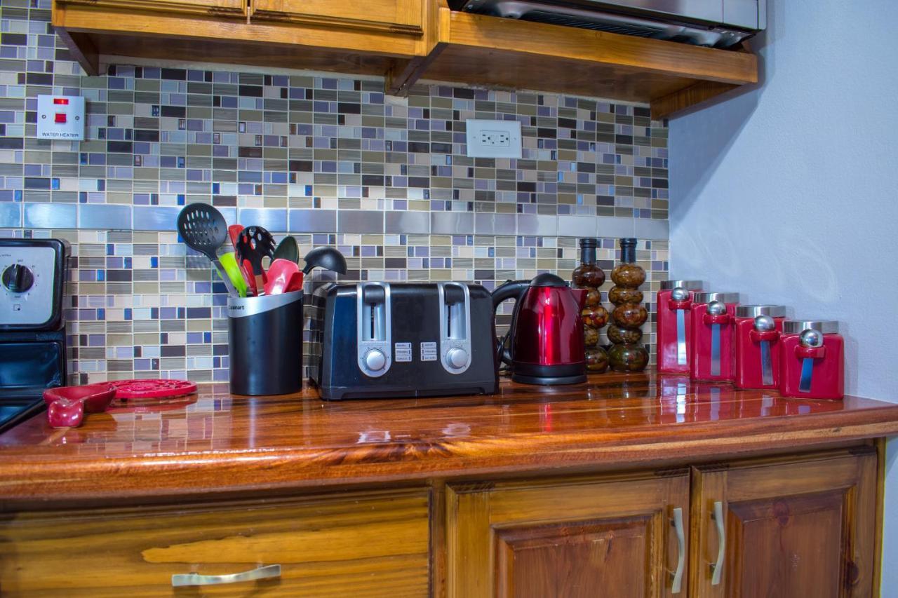 Casa Alexandria Guest Apartment キングストン エクステリア 写真