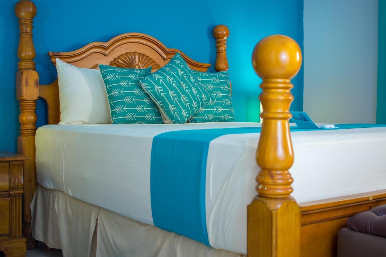 Casa Alexandria Guest Apartment キングストン エクステリア 写真